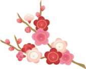 ume