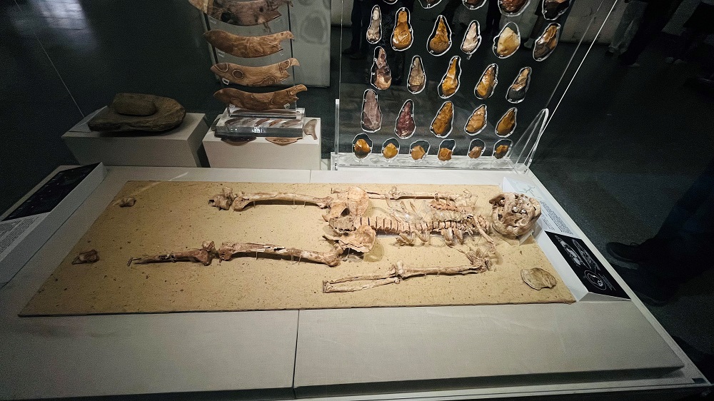 ピラミッドだけがカイロじゃない!カイロ市内の見どころ 3 エジプト国立文明博物館